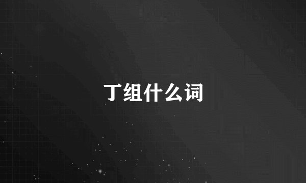 丁组什么词