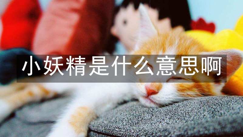 小妖精是什么意思啊