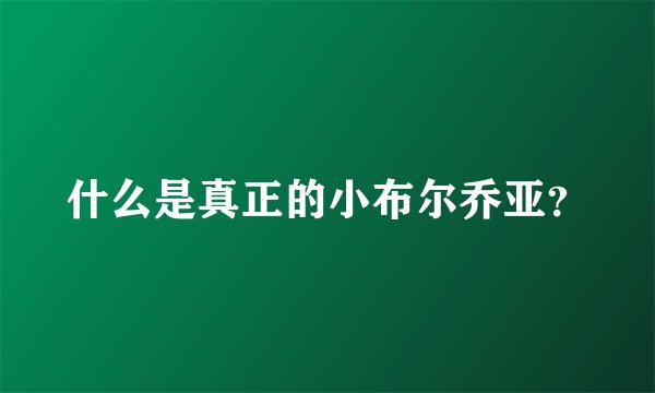 什么是真正的小布尔乔亚？