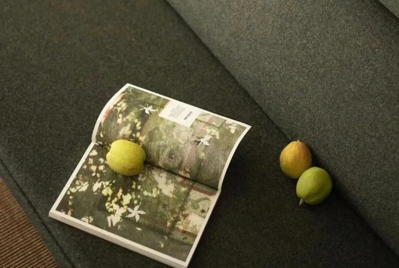 历久弥新的拼音