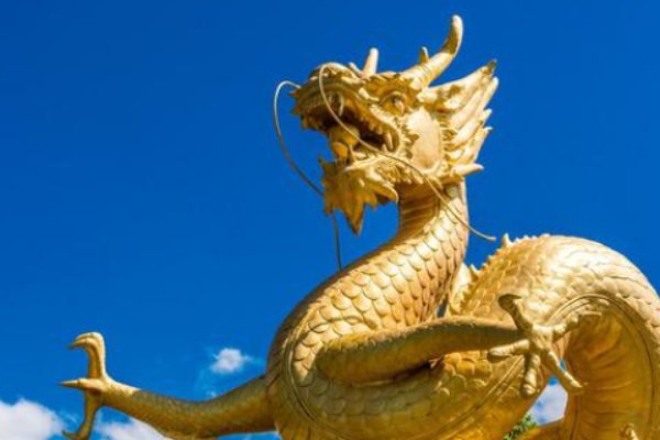 万丈光芒打一正确生肖