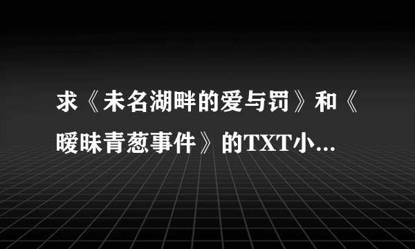 求《未名湖畔的爱与罚》和《暧昧青葱事件》的TXT小说，请发邮箱1160076823@qq.com