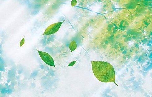 白帆文学社的《白帆》复刊