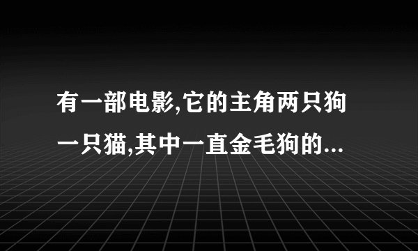 有一部电影,它的主角两只狗一只猫,其中一直金毛狗的名字是狗运.请问这部电影的名字叫什么?
