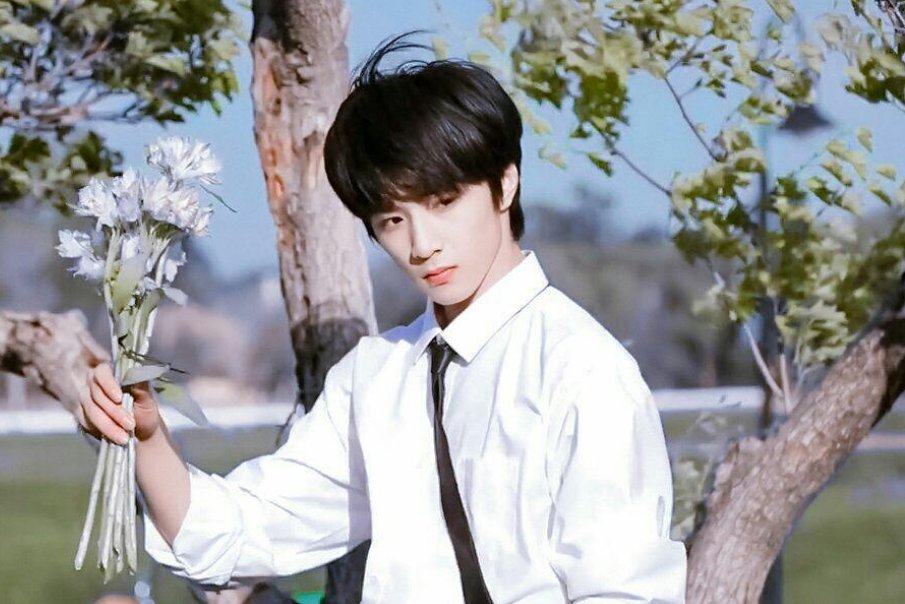 宋亚轩和刘耀文一同遛狗,他们之间的感情如何?