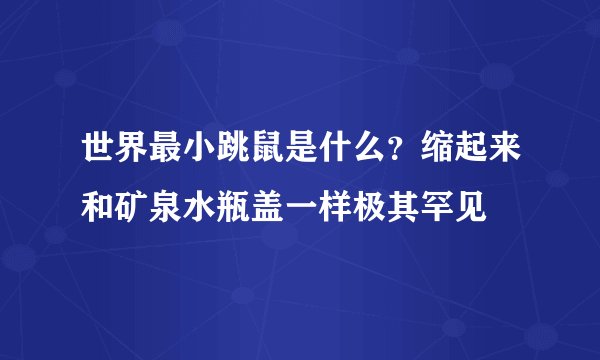 世界最小跳鼠是什么？缩起来和矿泉水瓶盖一样极其罕见
