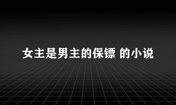 女主是男主的保镖 的小说
