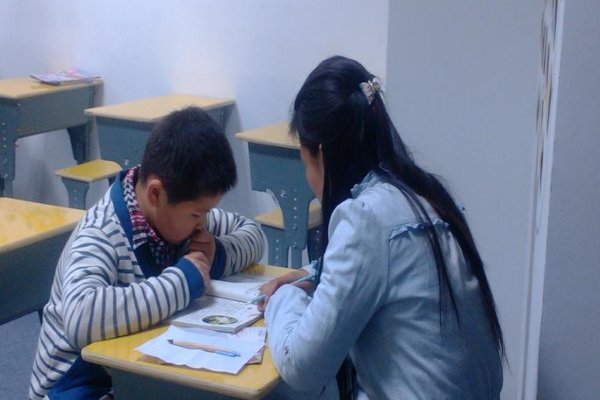 龙文一对一收费标准2023