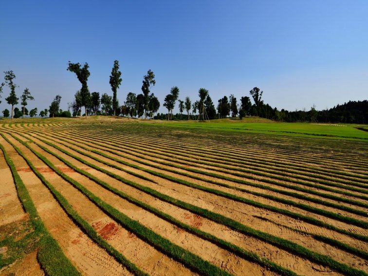 农村禁止的5种行为