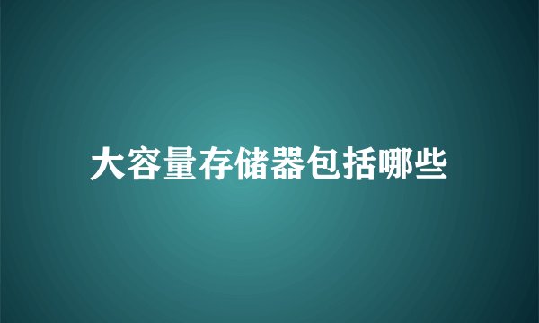 大容量存储器包括哪些