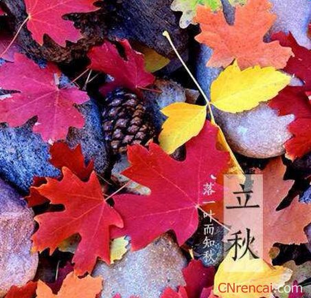 2019年立秋是几月几号几点几分几秒