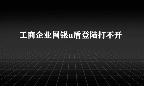 工商企业网银u盾登陆打不开