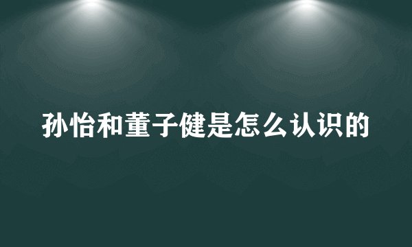 孙怡和董子健是怎么认识的