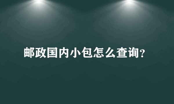 邮政国内小包怎么查询？