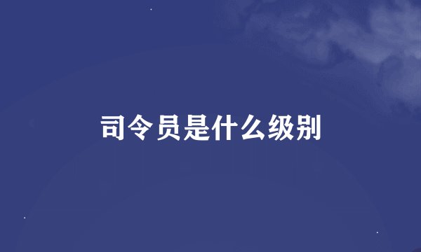 司令员是什么级别