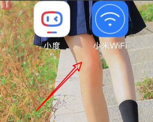 华为手机怎么设置访问黑名单网址？