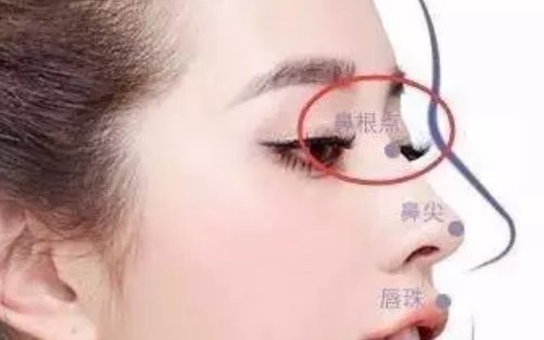 汉族人高鼻梁来自哪里？