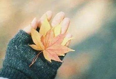 女人看淡一切的昵称