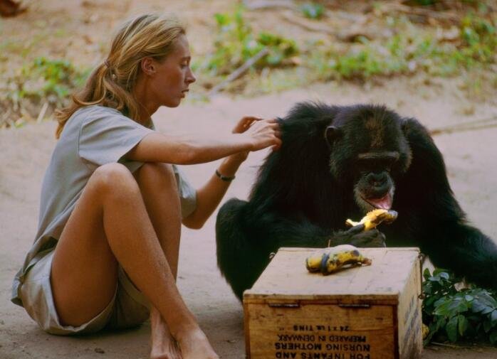 比利时女子宣称“爱上”黑猩猩达4年，人真的会与动物相爱吗？