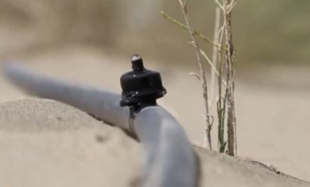 沉浸式体验世界首条沙漠铁路环线，究竟有多壮观？