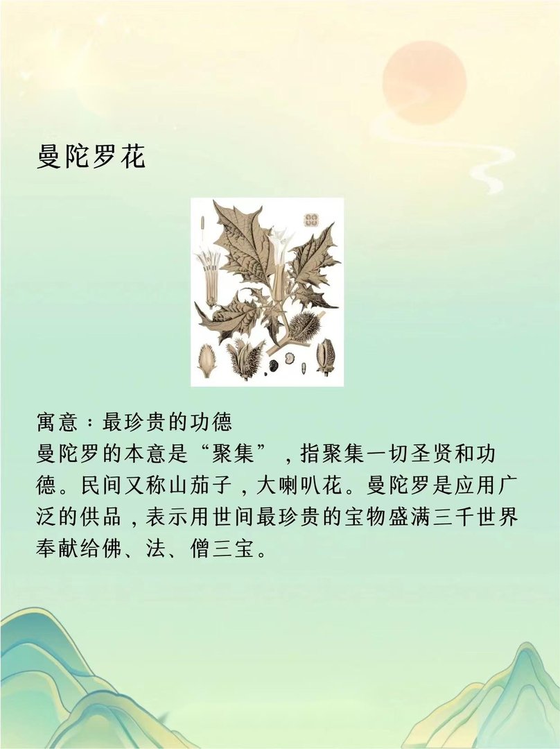 天花乱坠是什么意思？？