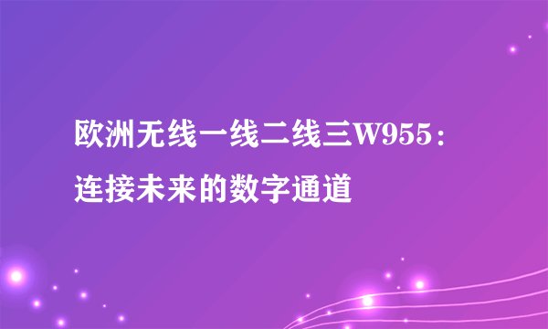欧洲无线一线二线三W955：连接未来的数字通道