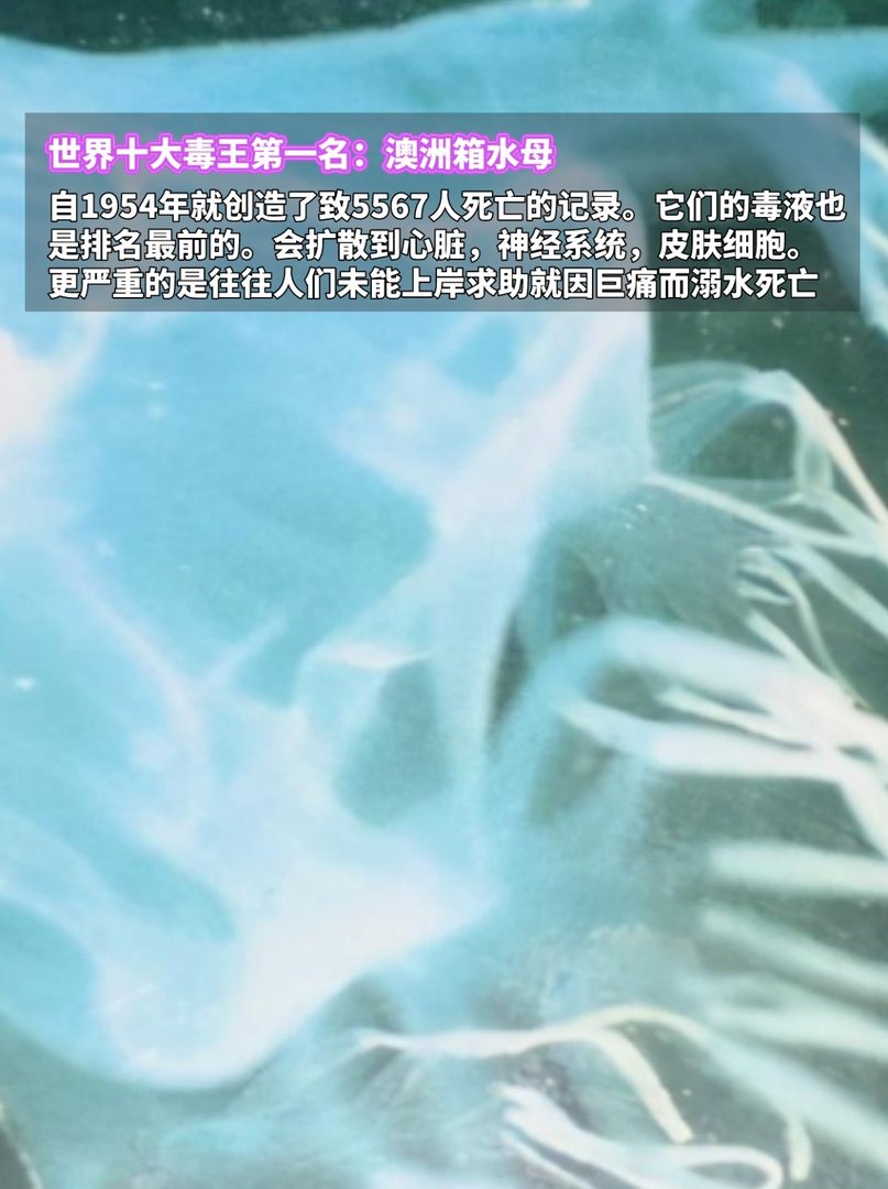 世界十大毒王，排名第一毋庸置疑