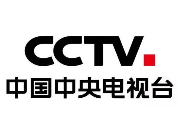 2024年跨年晚会央视节目单