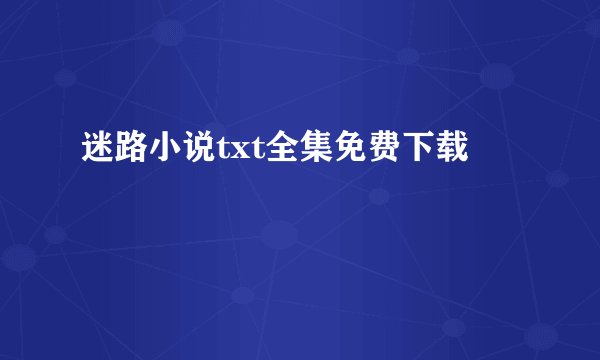 迷路小说txt全集免费下载