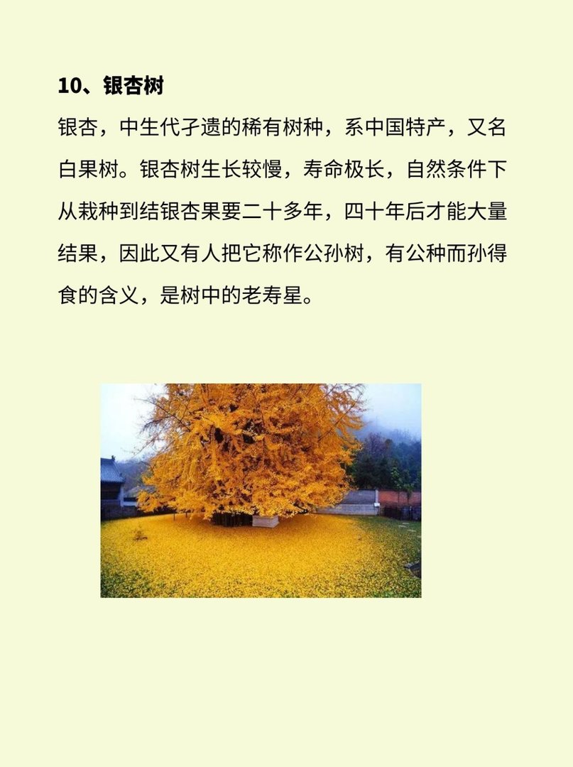 植物界有哪些活化石？