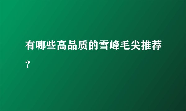 有哪些高品质的雪峰毛尖推荐？
