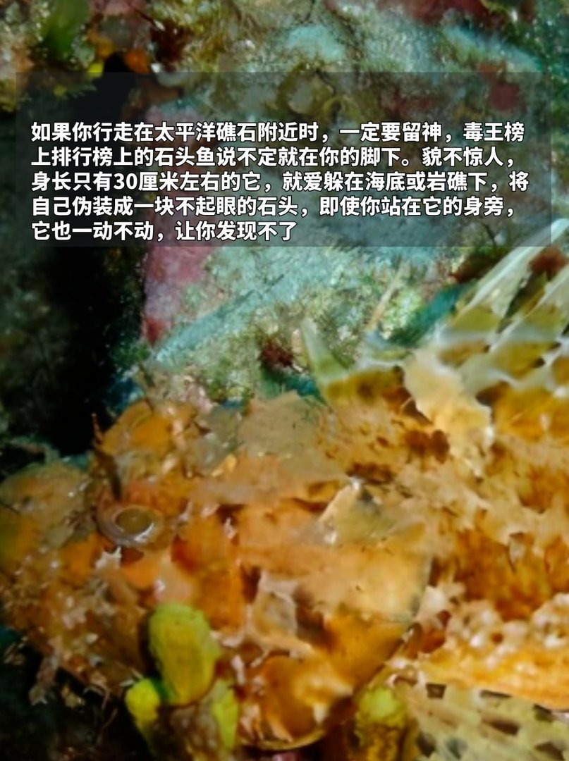 世界十大毒王，排名第一毋庸置疑