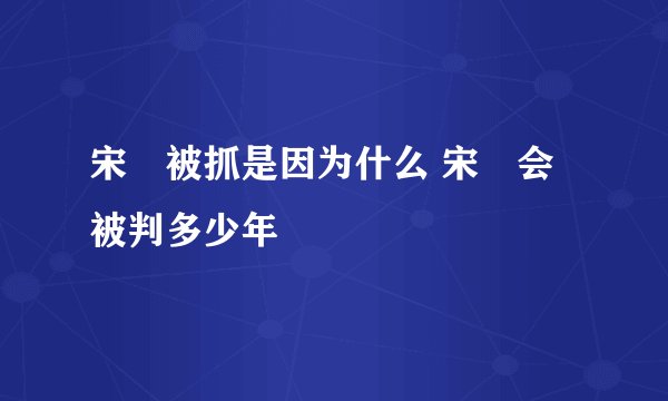 宋喆被抓是因为什么 宋喆会被判多少年