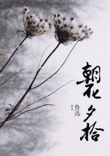 《朝花夕拾》里面包含哪些散文？