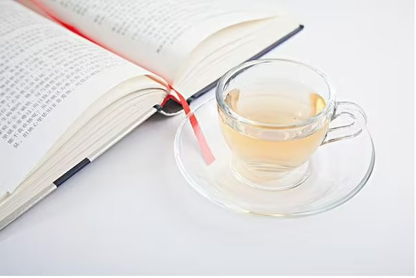 晏无悔凤之辰是什么小说