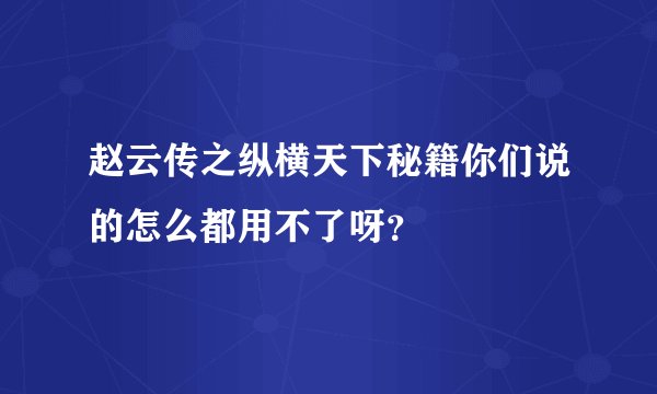 赵云传之纵横天下秘籍你们说的怎么都用不了呀？