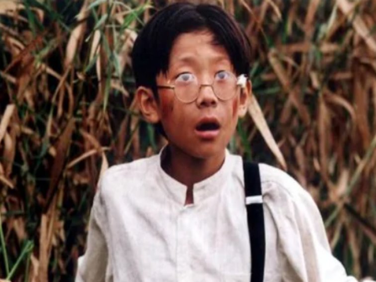 张一山的电视剧全部