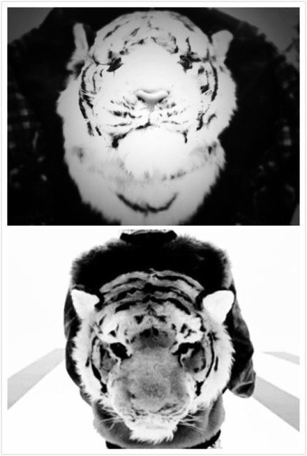 魏晨【破晓】造型怎么觉得那么像我们家权志龙呢？