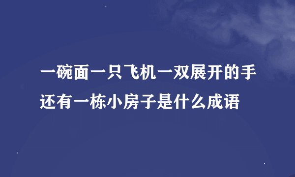 一碗面一只飞机一双展开的手还有一栋小房子是什么成语