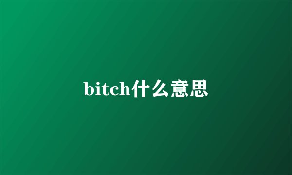 bitch什么意思