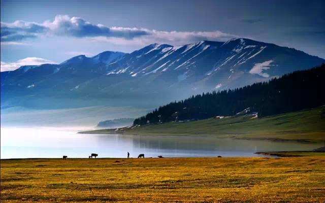 盛夏时候的新疆伊犁风景到底有多美？