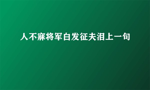 人不寐将军白发征夫泪上一句