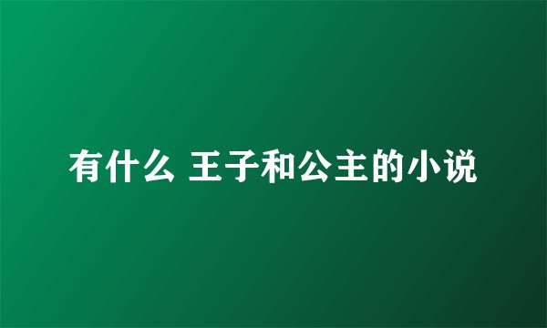 有什么 王子和公主的小说
