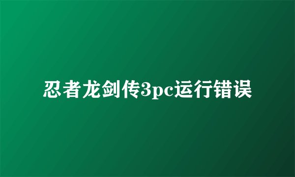 忍者龙剑传3pc运行错误
