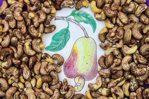 为什么我们买到的腰果没有壳蚂蚁庄园