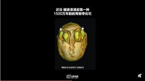 1500万年前的枣在福建漳浦被发现,这有何意义?