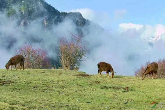 用一段话表现出悠然自得的情景