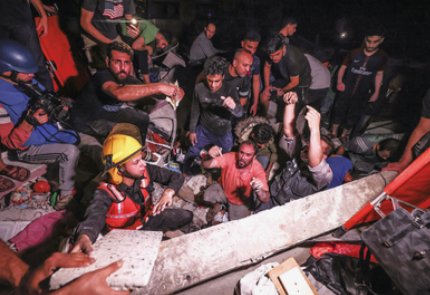 防空警报响起大象围成一圈保护小象，这能体现出什么？