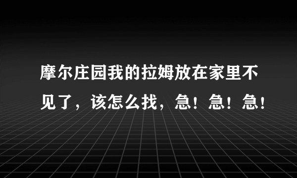 摩尔庄园我的拉姆放在家里不见了，该怎么找，急！急！急！