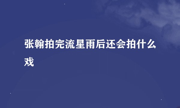 张翰拍完流星雨后还会拍什么戏